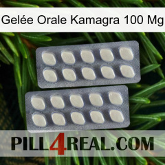 Gelée Orale Kamagra 100 Mg 07